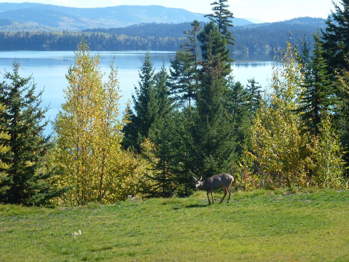 Little Black Bear Lodge/B&B Bridge Lake Esterno foto