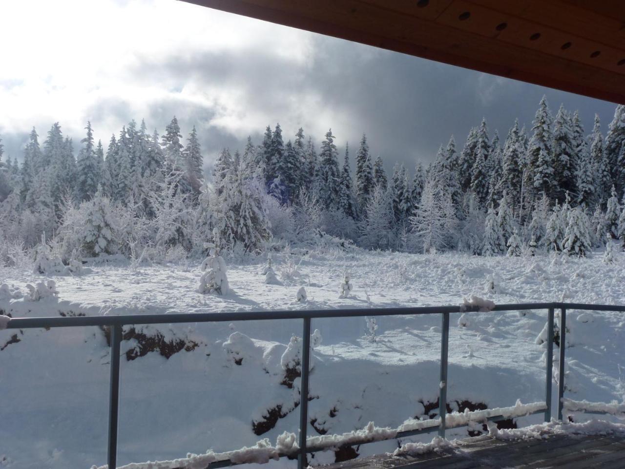 Little Black Bear Lodge/B&B Bridge Lake Esterno foto