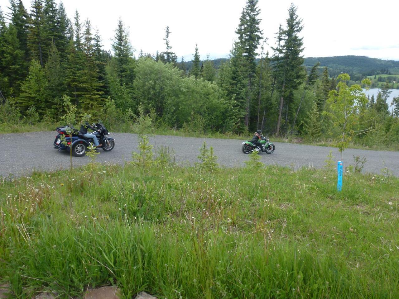 Little Black Bear Lodge/B&B Bridge Lake Esterno foto