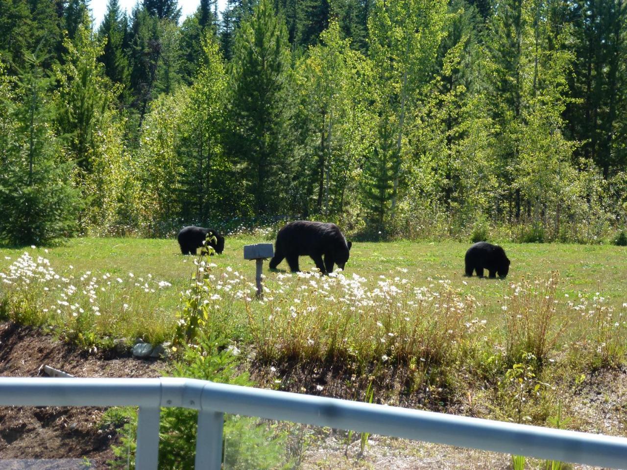 Little Black Bear Lodge/B&B Bridge Lake Esterno foto