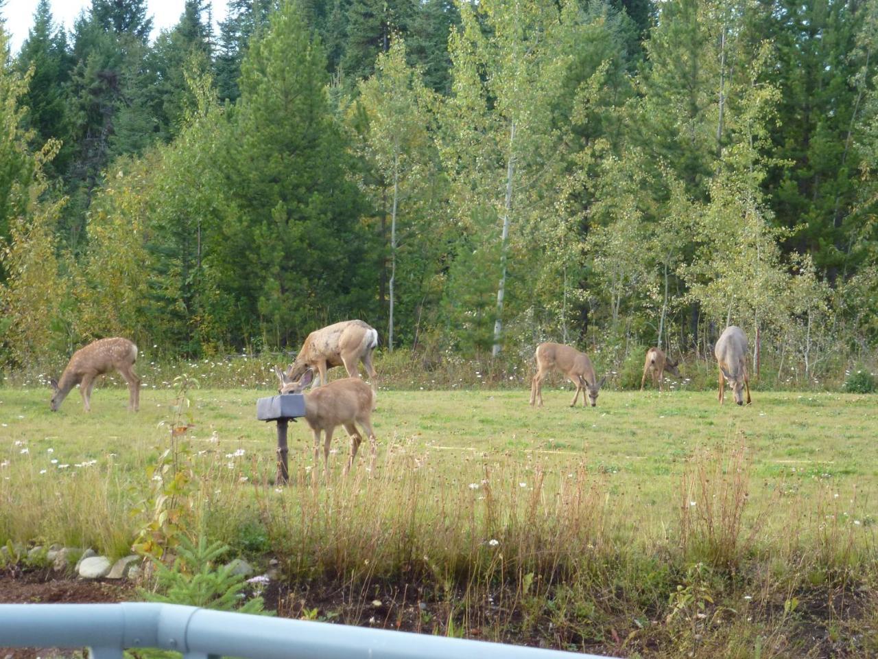 Little Black Bear Lodge/B&B Bridge Lake Esterno foto